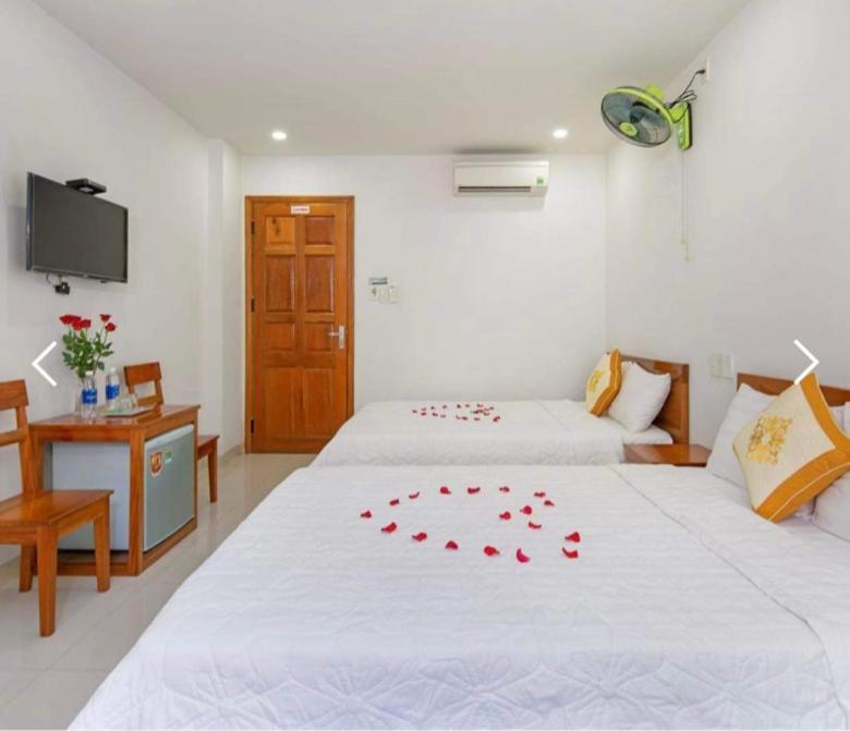 Hoa Anh Dao Da Nang